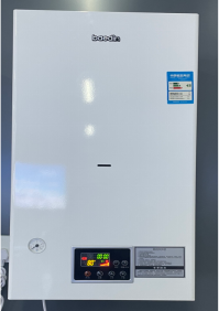 Why Does a Commonly Used Wall Hung Boiler Fail to Ignite?